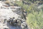 PICTURES/Goldfield Ovens Loop Trail/t_Oven Wall2.JPG